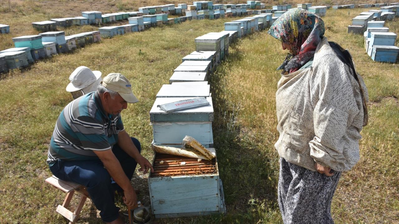 Het 30-Jarige Honingavontuur van het Echtpaar Akgün: Weef tussen Muğla en Afyonkarahisar Het…