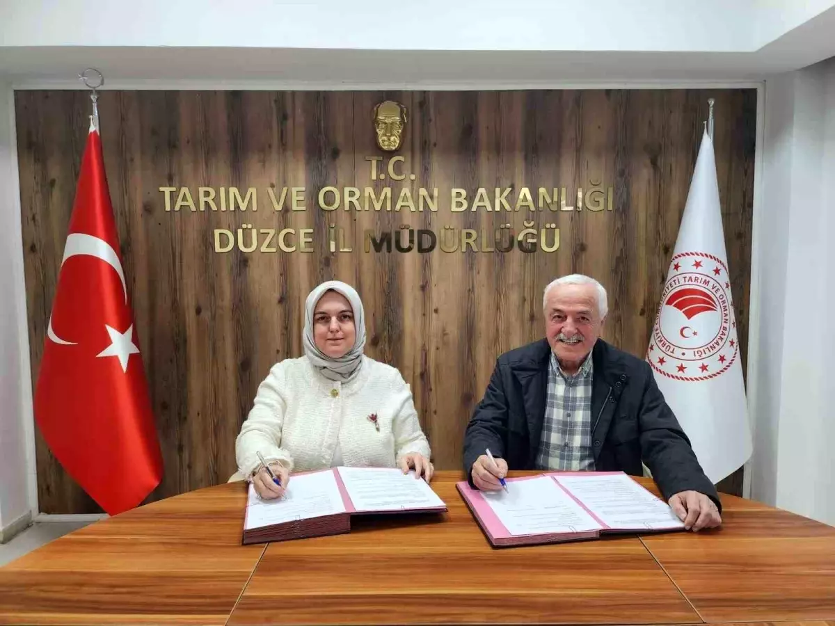 Local Collaboration pour le Miel de Châtaignier de Düzce Le Département de l'Agriculture de…