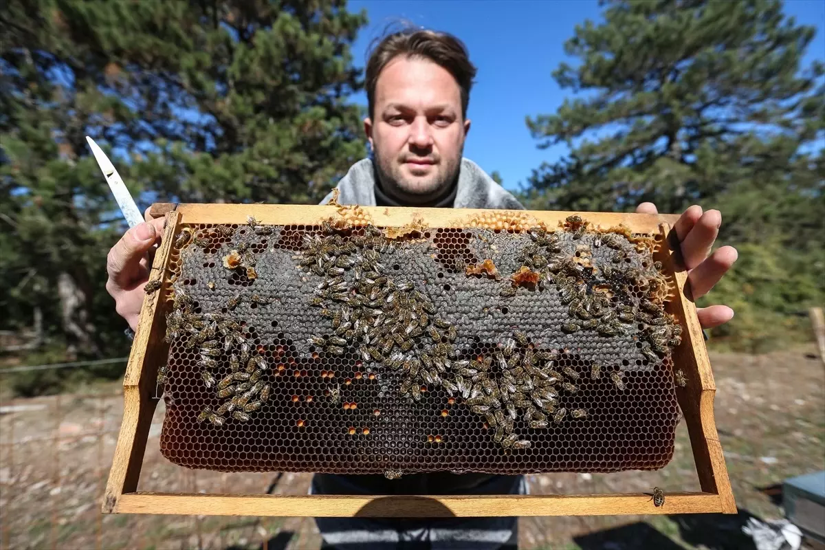 Actualités Apiculture de Troisième Génération à Bursa Yiğit Şerbetçi, surmontant son allergie…
