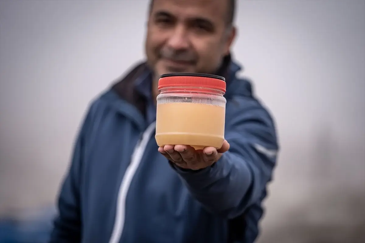 Erzurum'da Arı Kışlatma Hazırlıkları Başladı