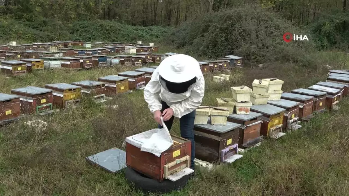 冬の管理は蜜蜂の命に不可欠 オルドゥでは、養蜂家たちがコロニーの損失を防ぐために冬の管理作業を始めました。トルコで最も多くの蜂蜜が生産されているオルドゥには、3,500人の登録養蜂家と約10…