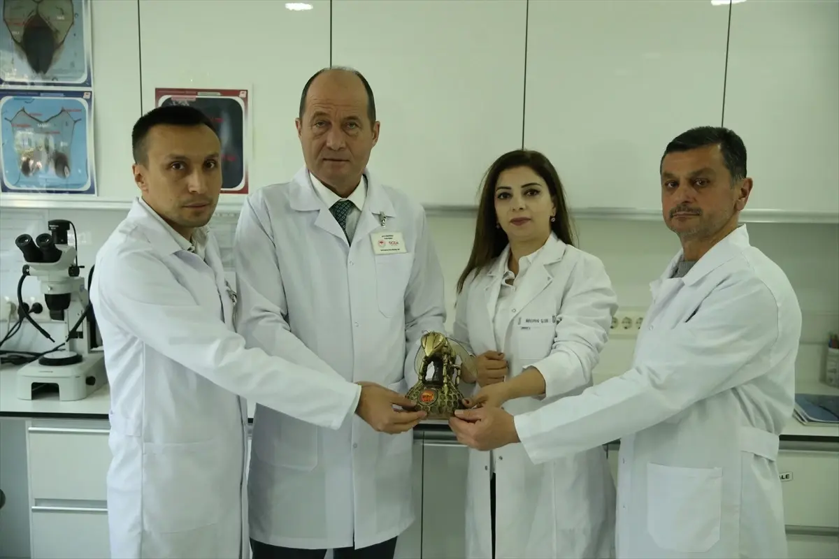 Азербайджанский агроном получает обучение пчеловодству в Турции Вюсале Алиева, проходя…