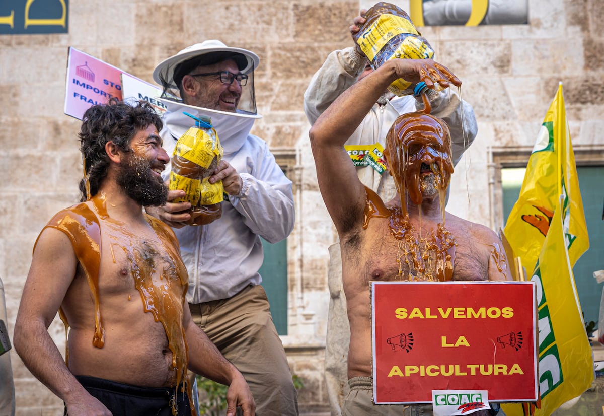 Beekeepers' Protests in Valencia Over the Sector Crisis For Carlos Muñoz, a beekeeper from the…