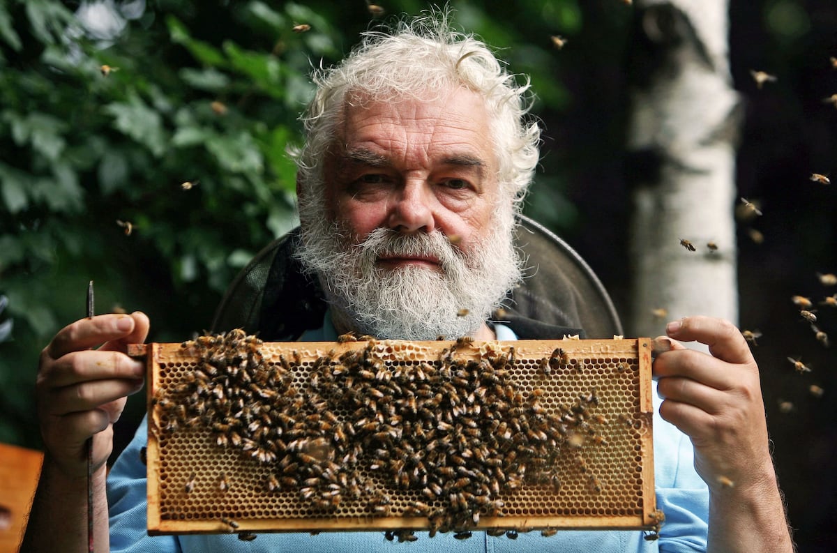 Die Seltsame Zeremonie, den Tod den Bienen mitzuteilen Von all den Zeremonien, die die langen…