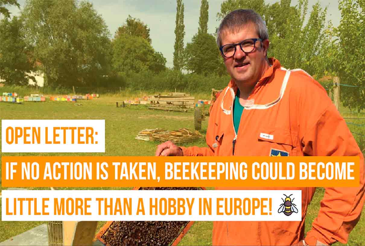 The beekeeping representative at Copa-Cogeca: “If we don’t change, beekeeping will end up…