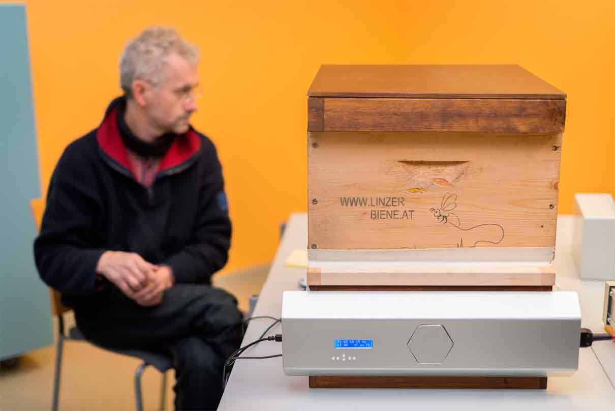 Wärme gegen die Varroa: Was es ist und wie Saunen für Bienenvölker funktionieren Eines der am…