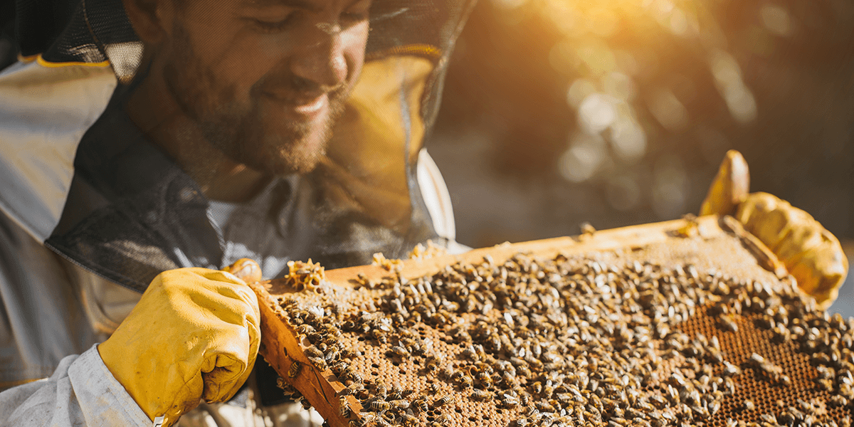 Coexistence entre Apiculteurs et Agriculteurs Certaines des problématiques auxquelles se…
