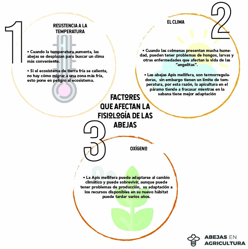 Impact van Klimaatverandering op Bestuivers in Colombia Er is een behoefte aan regulering om…