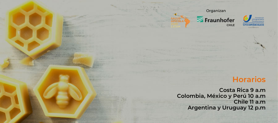 International Webinar Series: Towards Sustainable Beekeeping in Latin America The…