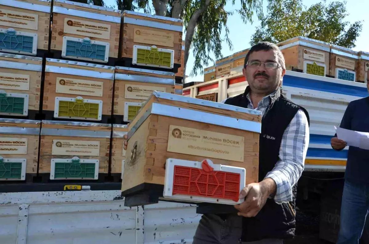Die Stadtverwaltung Antalya hat Bienenstockzuschüsse an Imker aus Alanya vergeben Die…