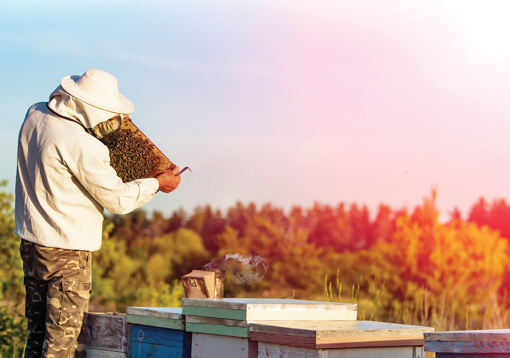 Colonies mortes : Comprendre la perte de colonies d'abeilles Colonies mortes : cet événement…