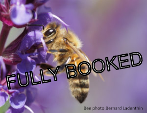 Beekeeping Taster Days 2025