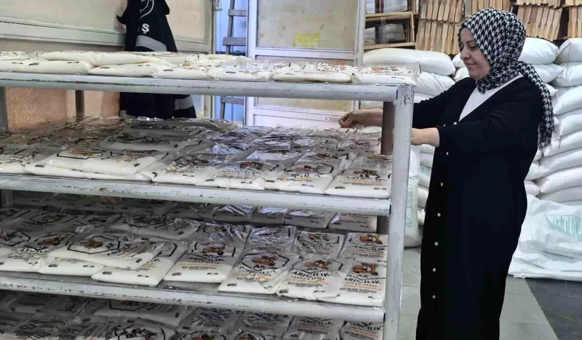 Bartın'da Arıcılık Malzemeleri Üreten Atölye Kuruldu