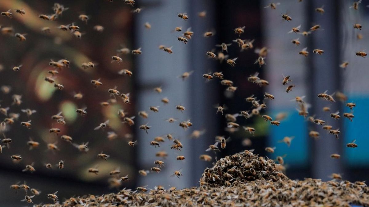 Österreich wurde das erste EU-Mitgliedsland, das Glyphosat verbietet Österreich ist das erste…