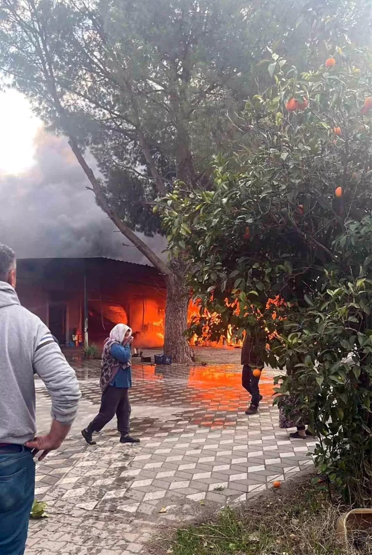 Feuer, das von einem Solarpanel in Köyceğiz ausging, griff auf das Lager für Bienenprodukte…