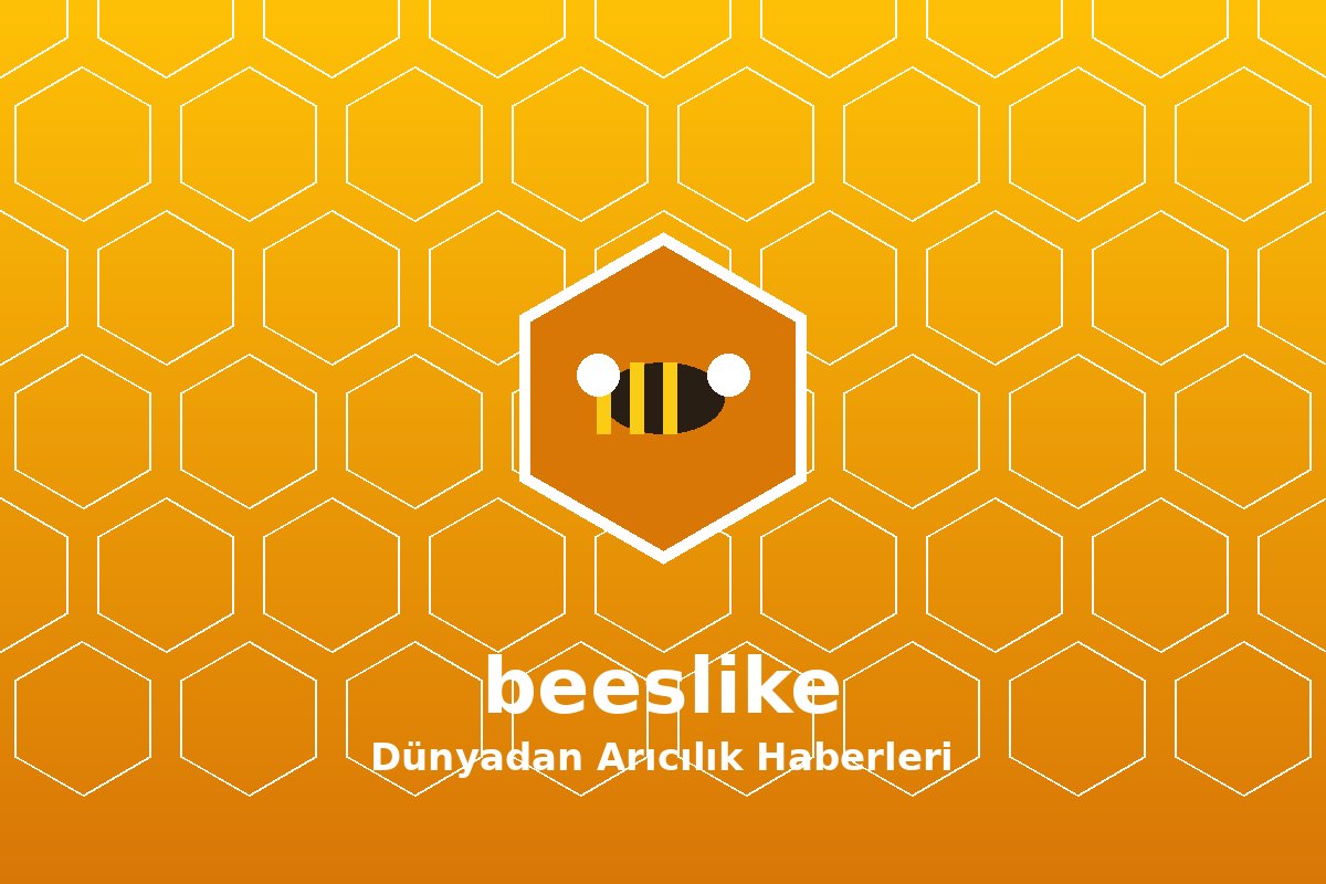 

EKONOMİ
Yayınlanma : 22 Haziran 2026 13:49
Düzenleme : 22 Haziran 2026 13:49 

 
 Шенгюль Мерджан из Дюздже, благодаря государственной поддержке, увеличила ко