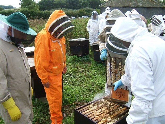 Şapkalı ve eskrim tipi maskeli arıcılar kovan