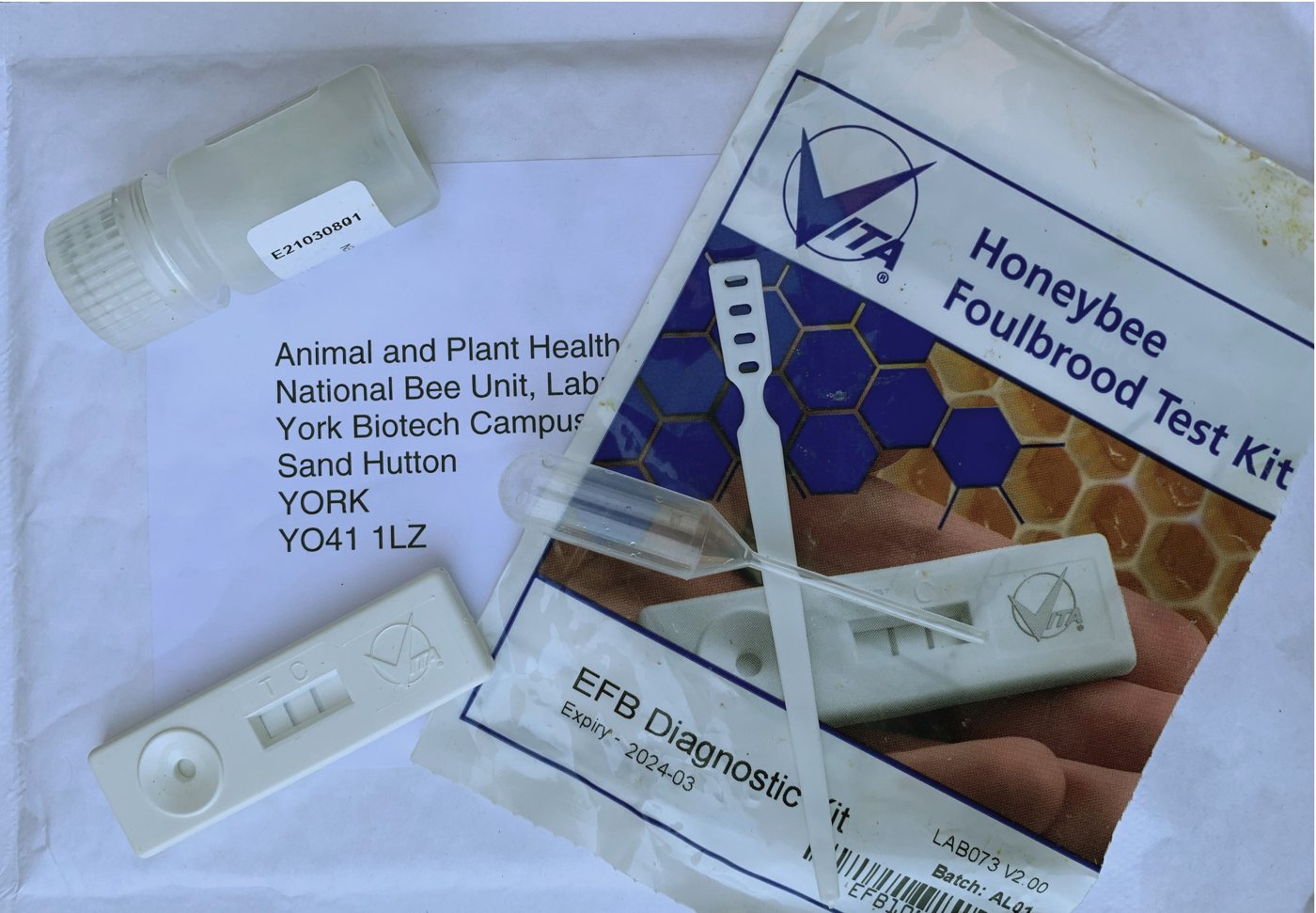 Yavru çürüklüğü hızlı tanı kiti: örnek tüpü, kaset ve ambalaj