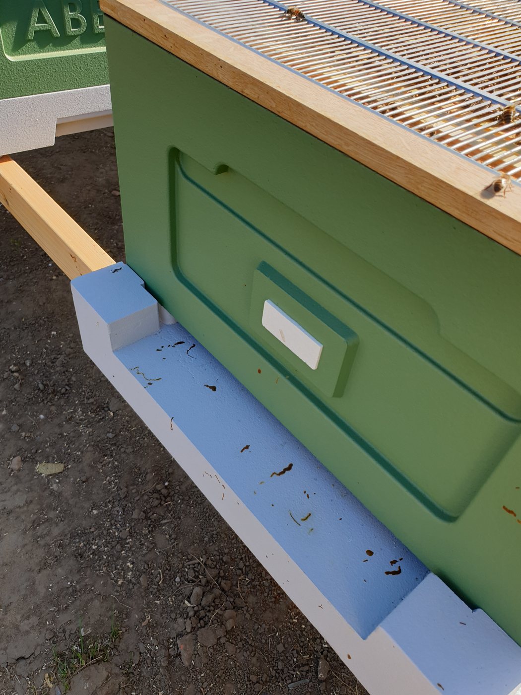 Dark brown faecal stains on the hive landing board