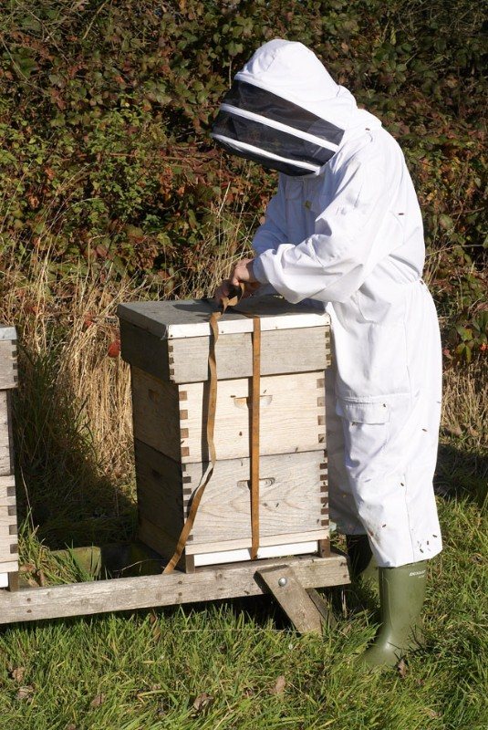 Hive boxes being strapped together
