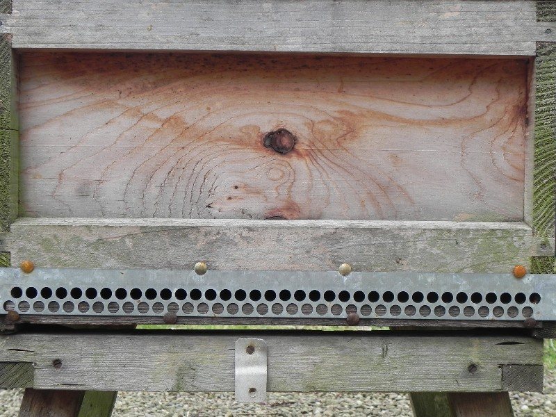 Metal mouse guard with round holes fitted to a hive entrance
