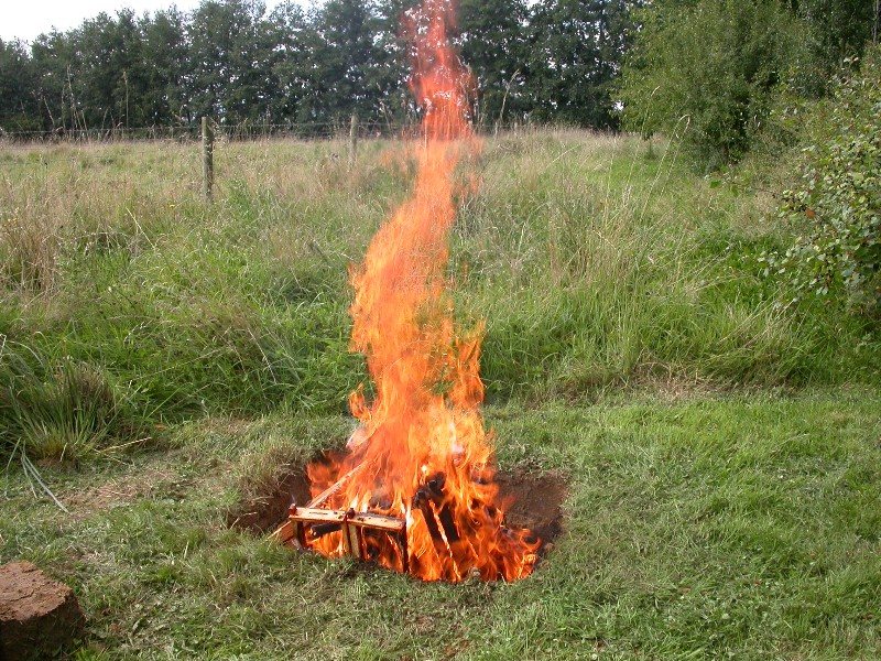 Frames from a diseased colony being burned in a pit