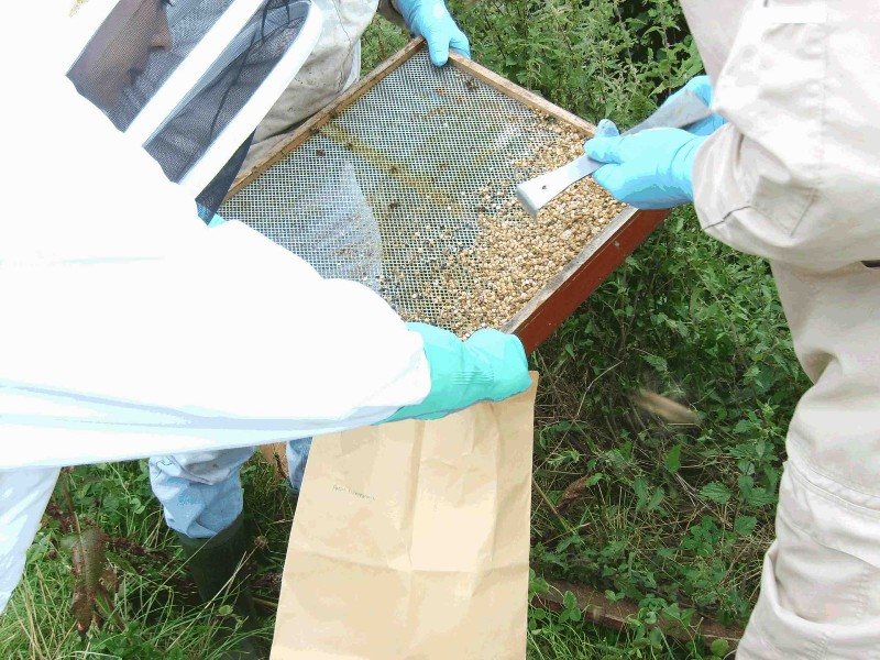 Laboratuvar için dip döküntüsü örneği alınması