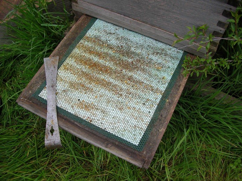 Varroa izleme tablası ve şebekeli dip
