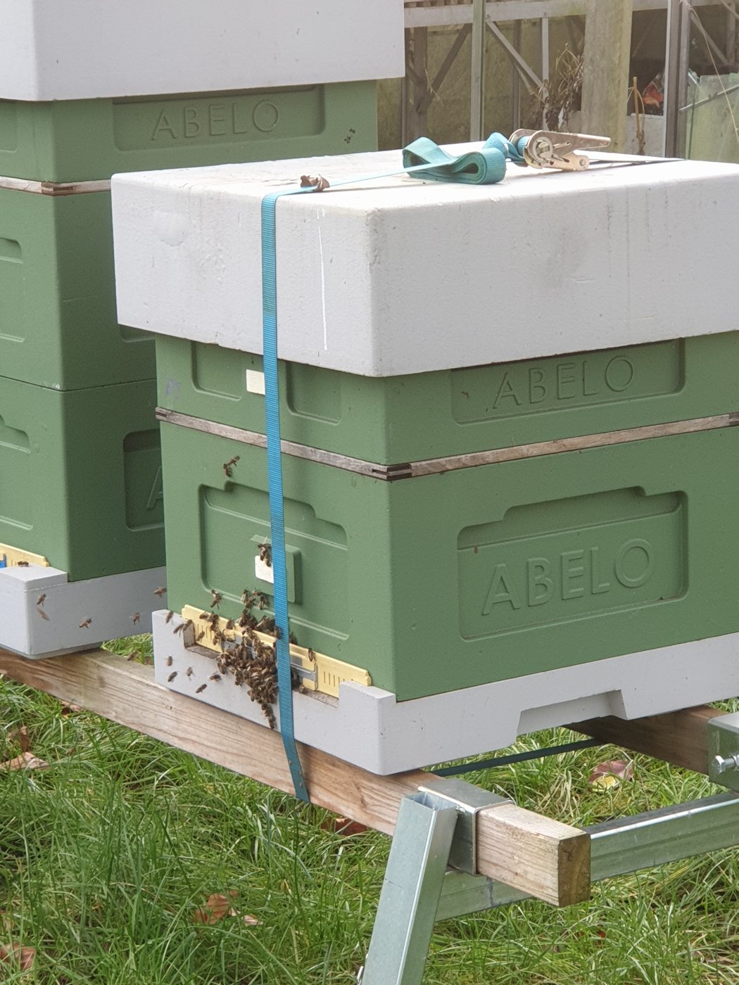 Hives secured to a stand with straps
