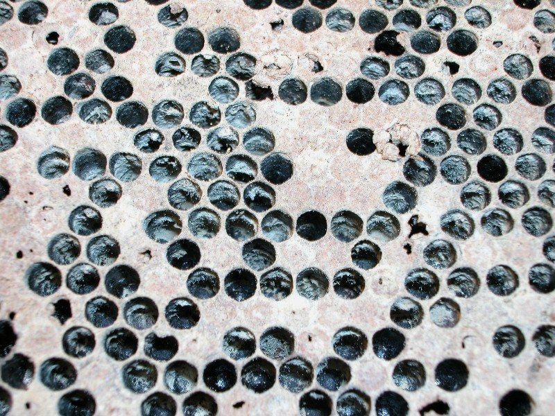 Dark American foulbrood scales stuck to the cell floor