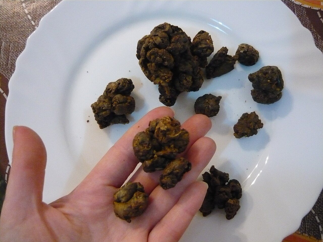 Kazımayla toplanmış koyu propolis topakları