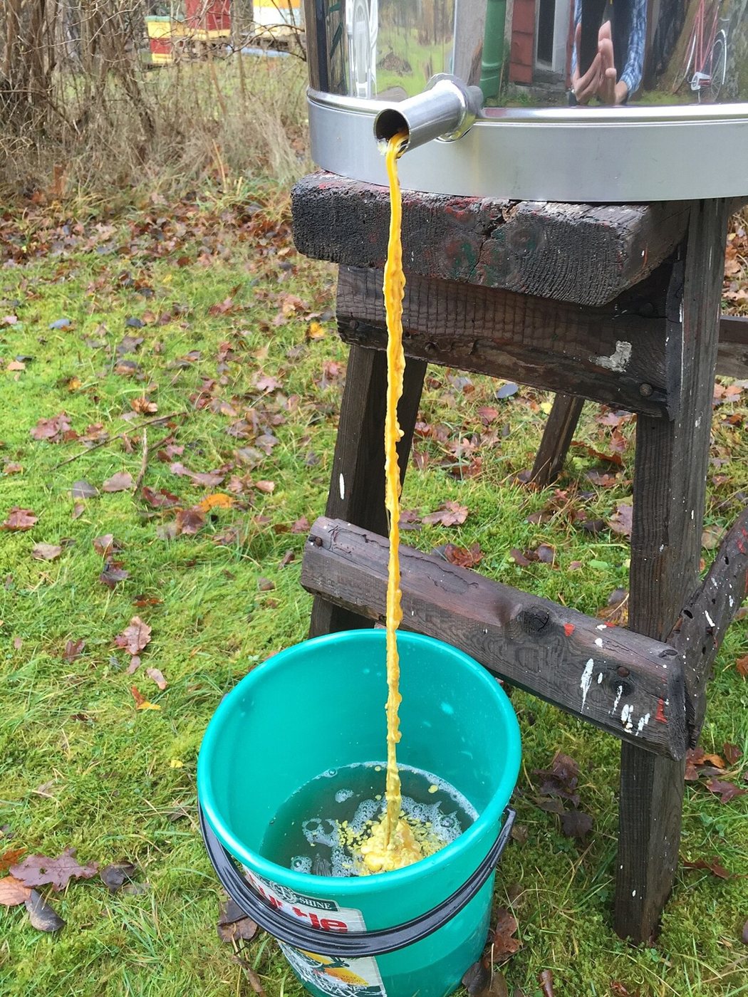 Melted beeswax flowing from a steam melter into a bucket