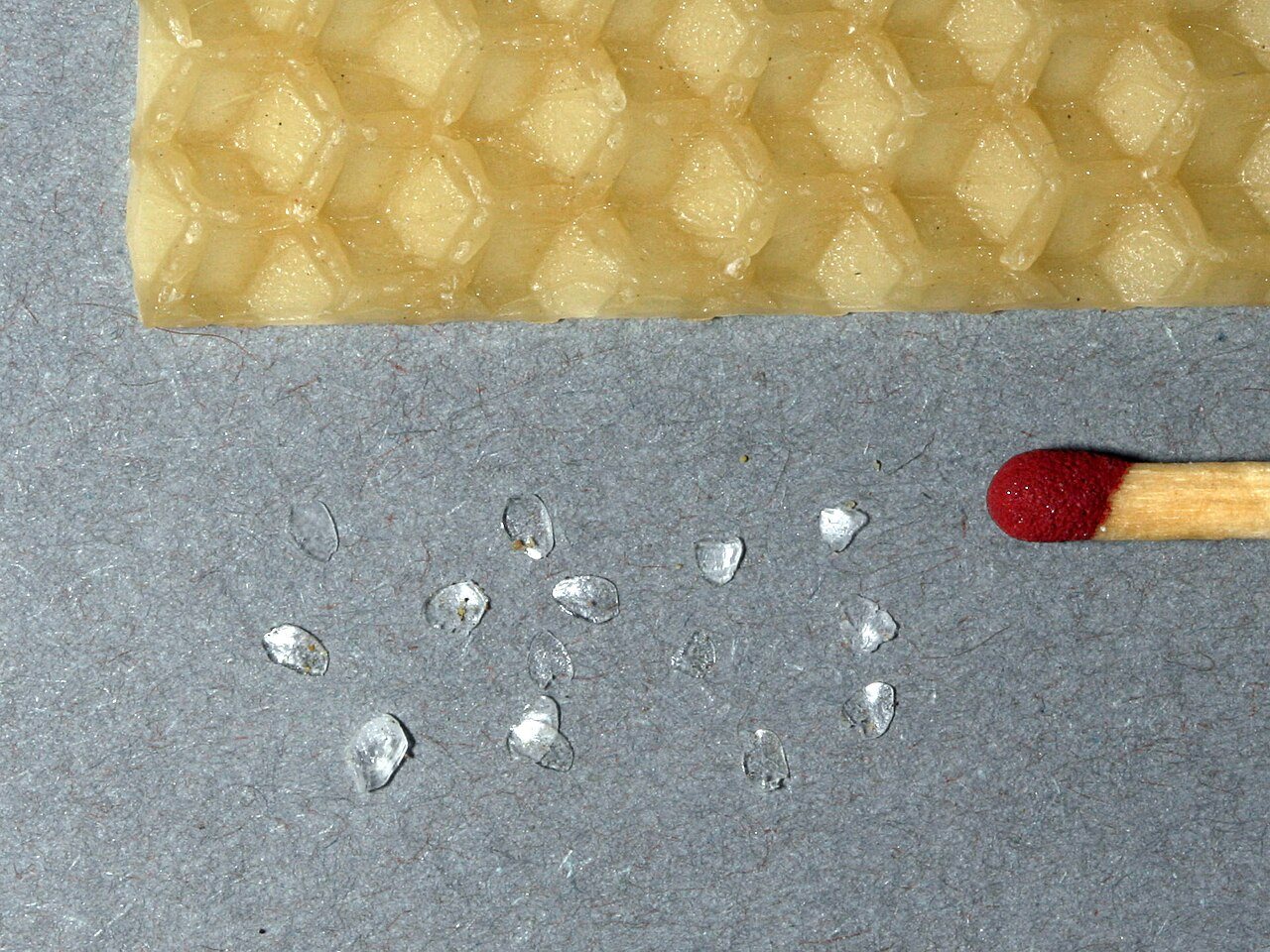 Transparent beeswax scales secreted by the wax glands, with a match head for scale