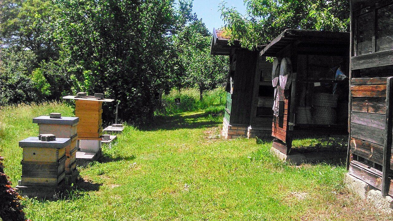 Eğitim amaçlı arıcılık patikasında arı evleri ve