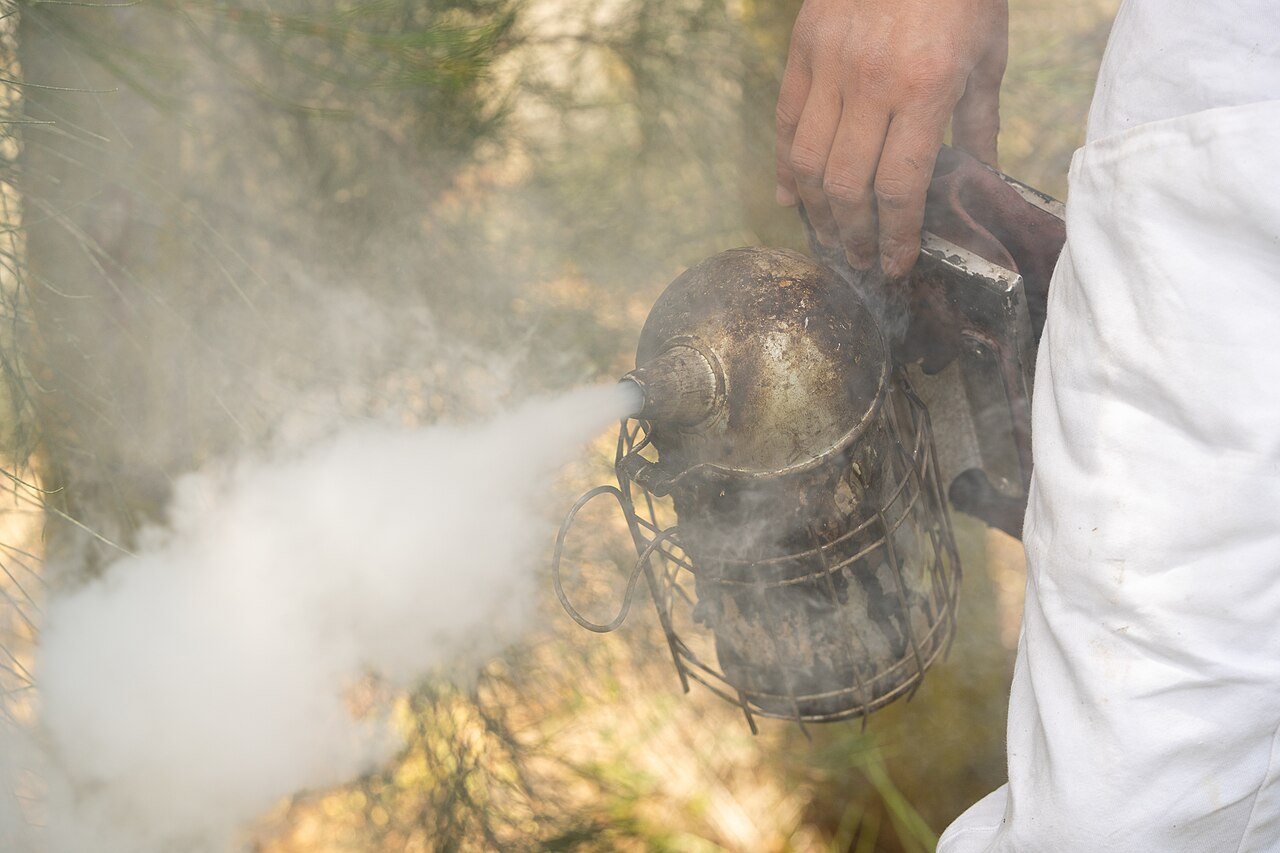 Beekeeping smoker giving off smoke