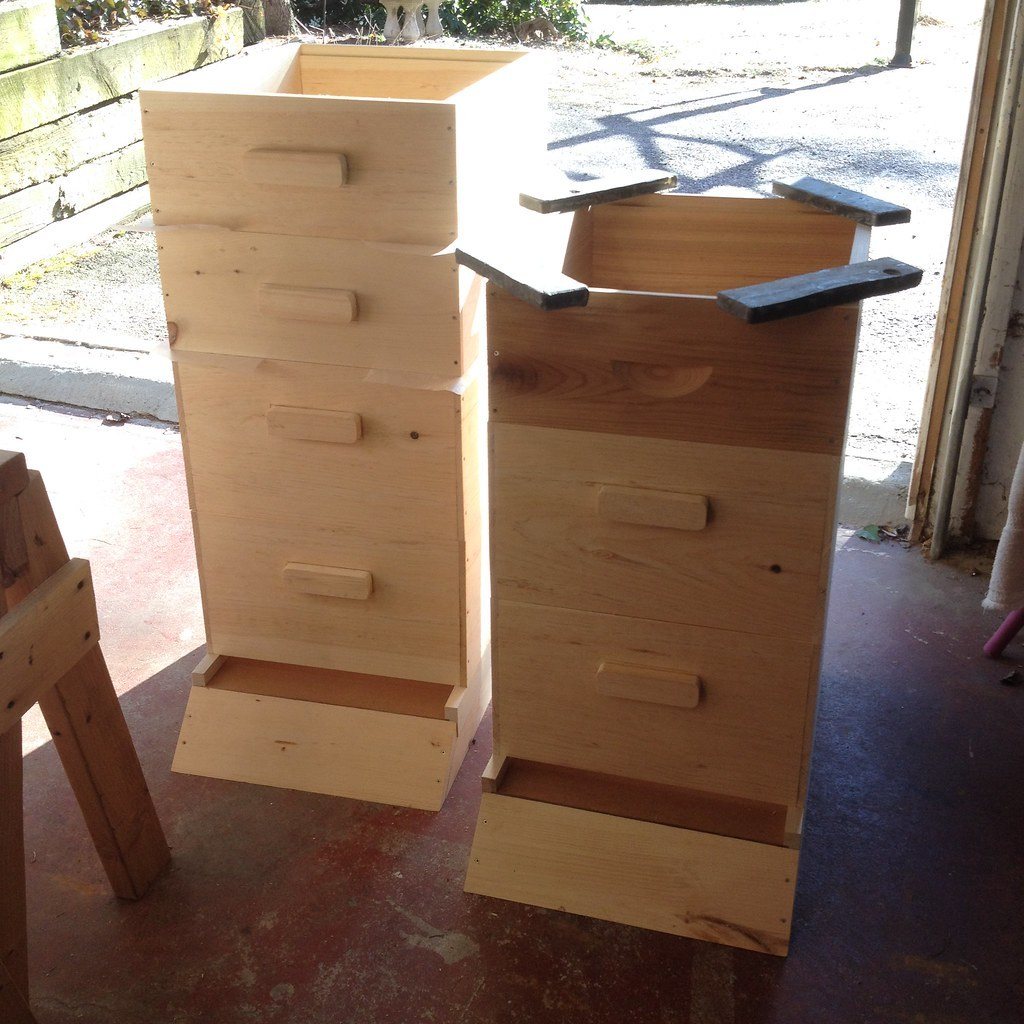 New unpainted wooden beehives