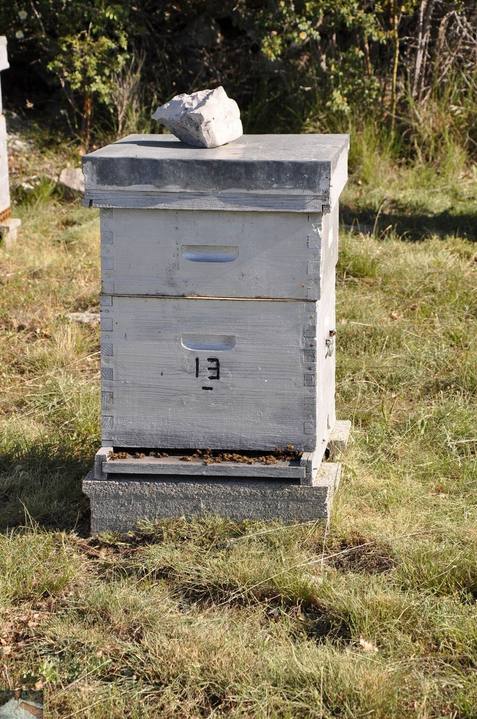 Sehpa üzerinde üstüne taş konmuş Dadant kovan