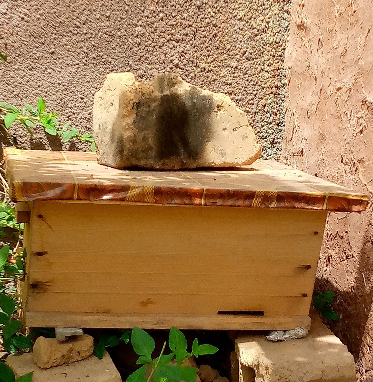 Dadant hive with a flat lid weighted with a stone