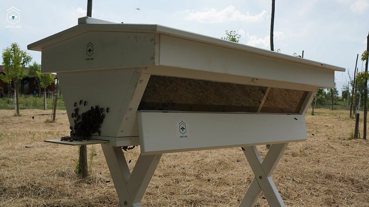 Horizontal top-bar hive with sloping sides on a cross-legged stand