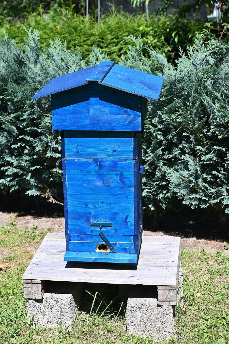 Blue-painted Warré hive on stone legs