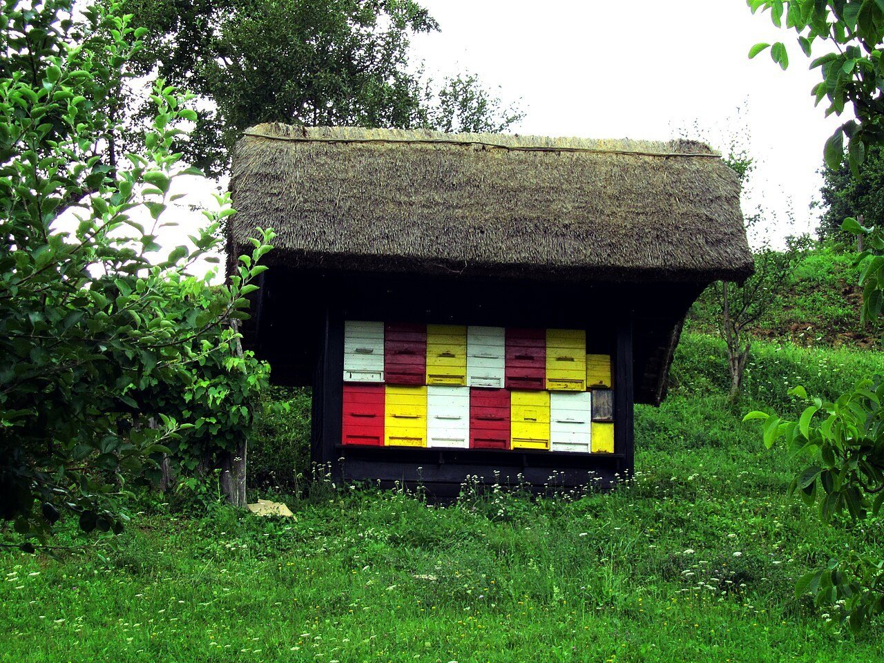 Bee house in Slovenia with hives with colourful front panels
