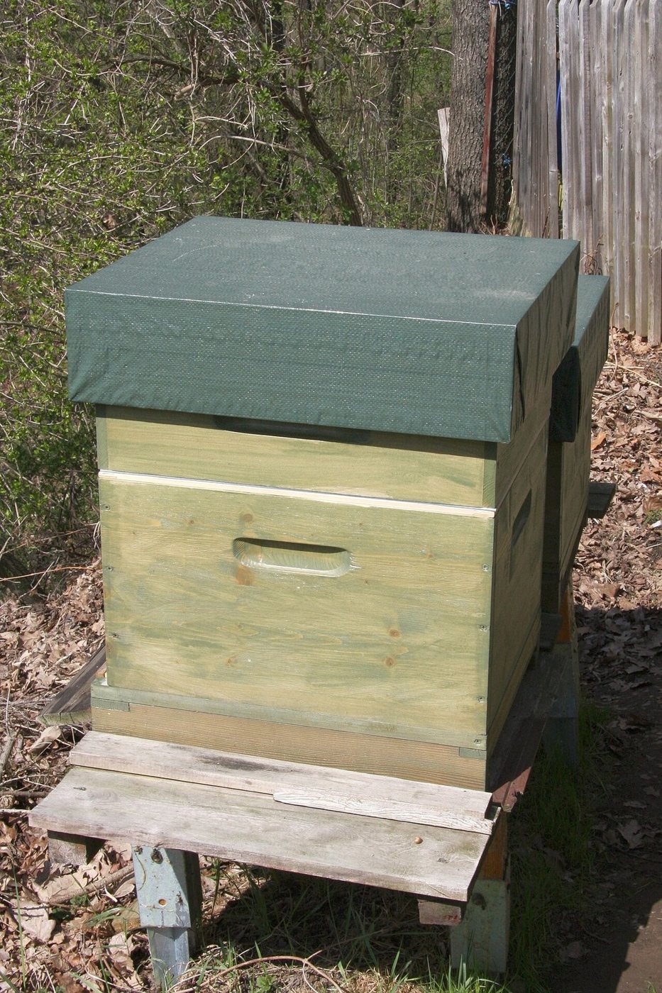 Dadant hive with a half-depth honey super added on top
