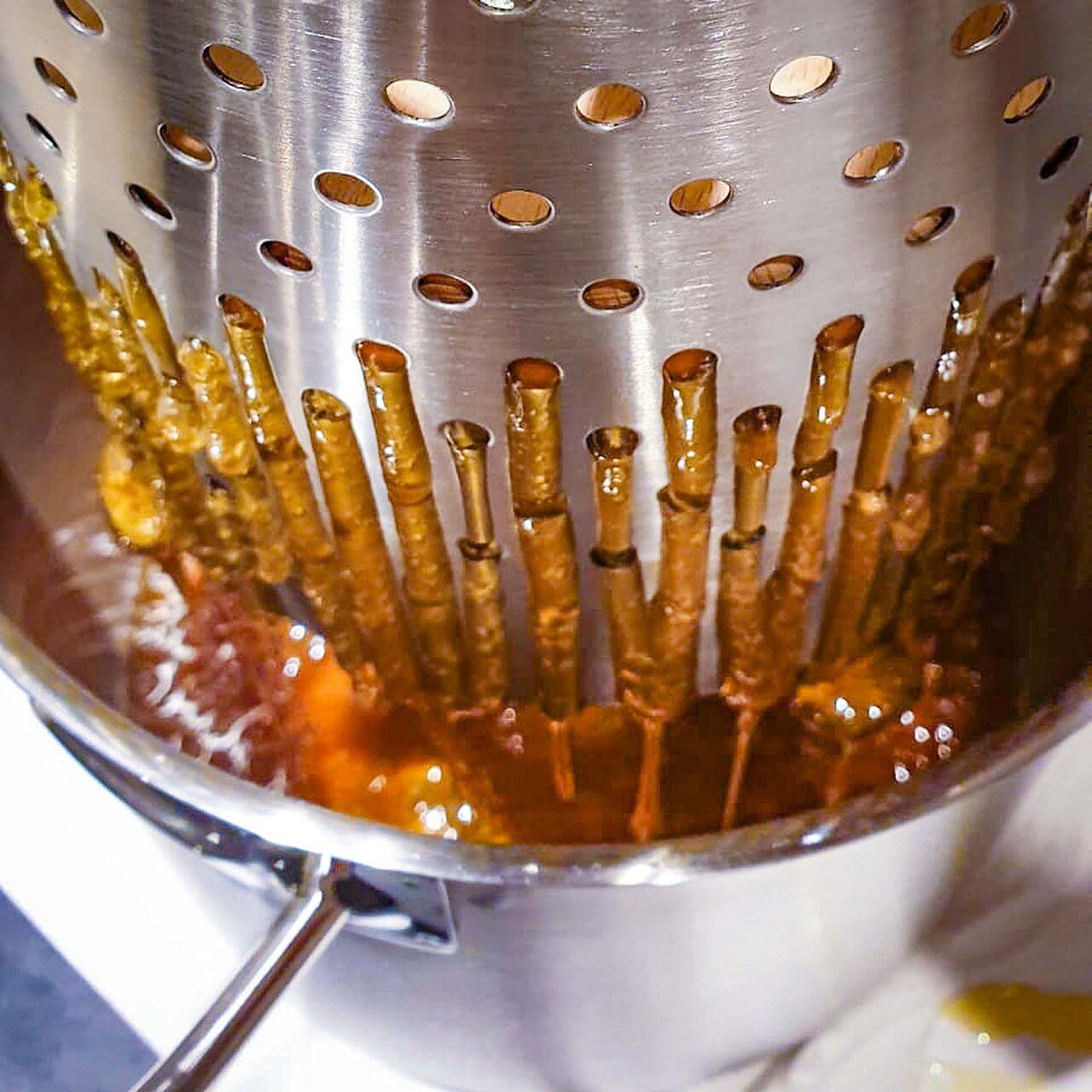 Pressed honey draining from a perforated stainless steel cylinder