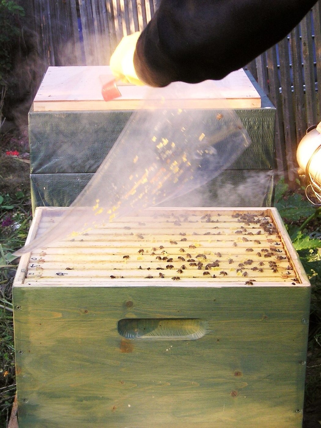 A clear cover being lifted off a brood box