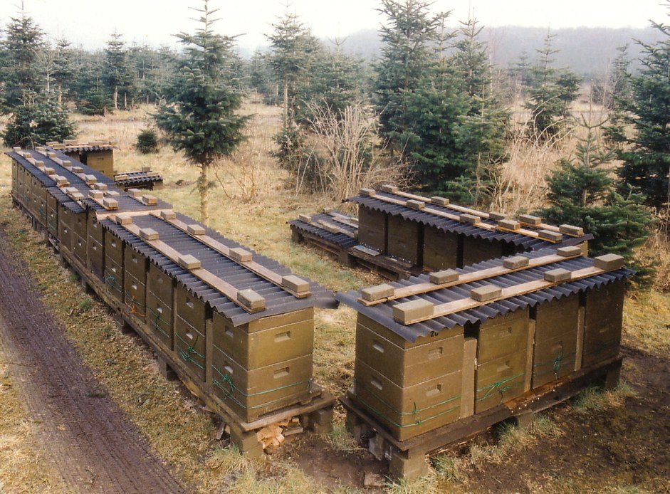 Köpük (polistiren) kovanlarla kurulmuş arılık