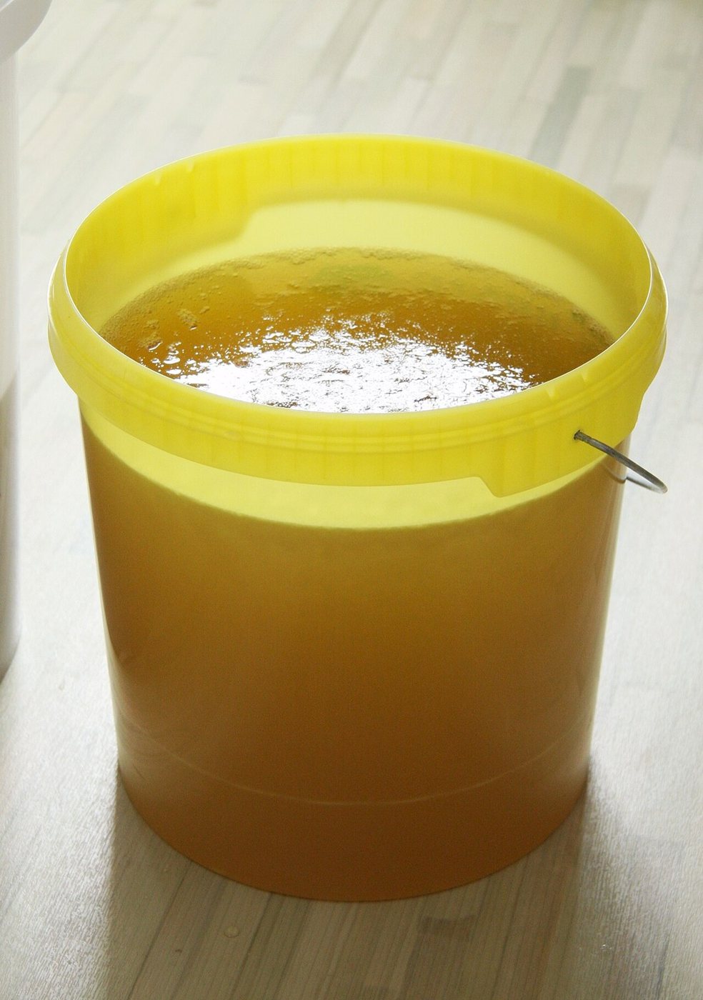 Freshly extracted honey with foam on the surface in a settling bucket